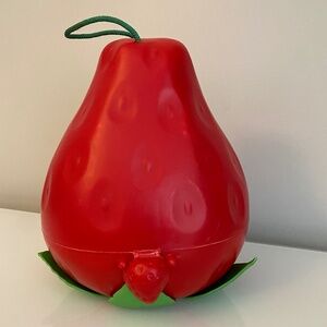 🍓 Vintage 1980 Strawberry Shortcake “Big Berry” Carry Case 🍓